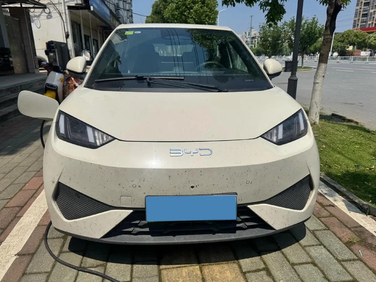 2025 BYD Seagull BEV 30.08KWH,autocango,china used car exporter,china ev exporter,chinese used car exporter,chinese used ev exporter