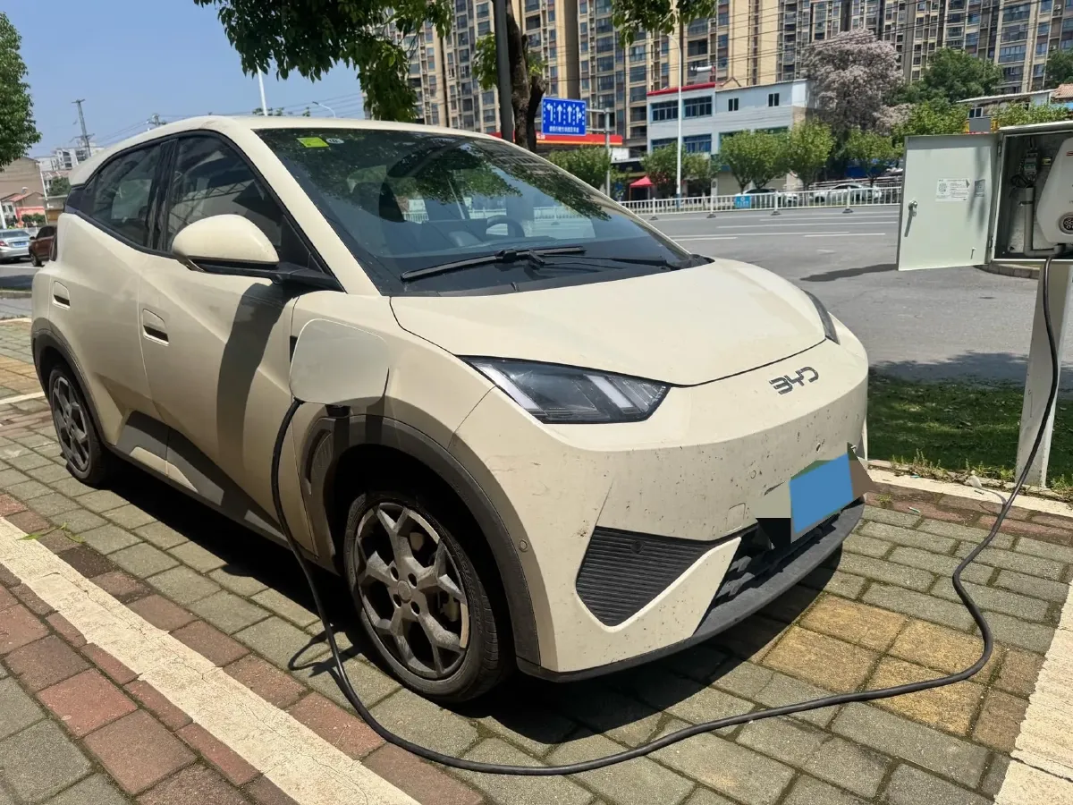 2025 BYD Seagull BEV 30.08KWH,autocango,china used car exporter,china ev exporter,chinese used car exporter,chinese used ev exporter