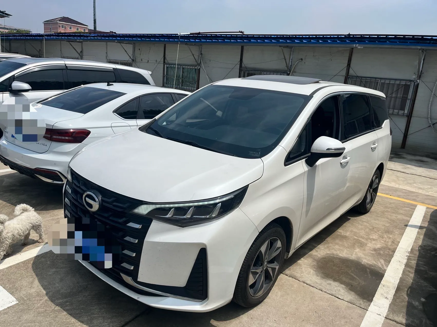 autocango,china used car exporter,china ev exporter,chinese used car exporter,chinese used ev exporter