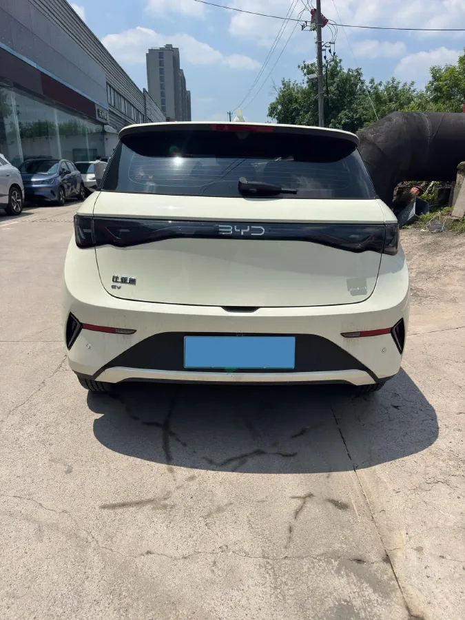 2025 BYD Dolphin BEV 45.12KWH,autocango,china used car exporter,china ev exporter,chinese used car exporter,chinese used ev exporter