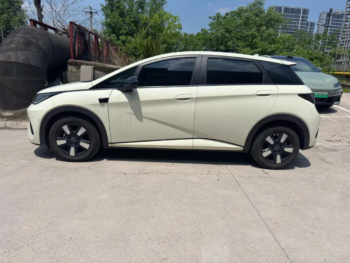 2025 BYD Dolphin BEV 45.12KWH,autocango,china used car exporter,china ev exporter,chinese used car exporter,chinese used ev exporter