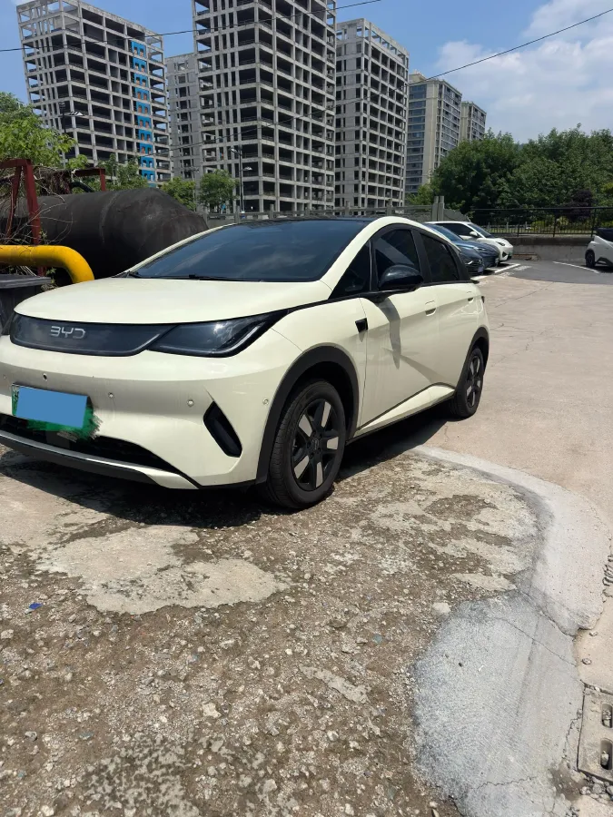 2025 BYD Dolphin BEV 45.12KWH,autocango,china used car exporter,china ev exporter,chinese used car exporter,chinese used ev exporter