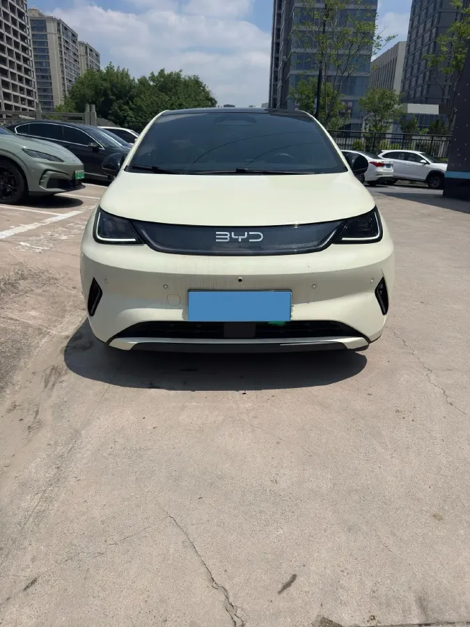 2025 BYD Dolphin BEV 45.12KWH,autocango,china used car exporter,china ev exporter,chinese used car exporter,chinese used ev exporter
