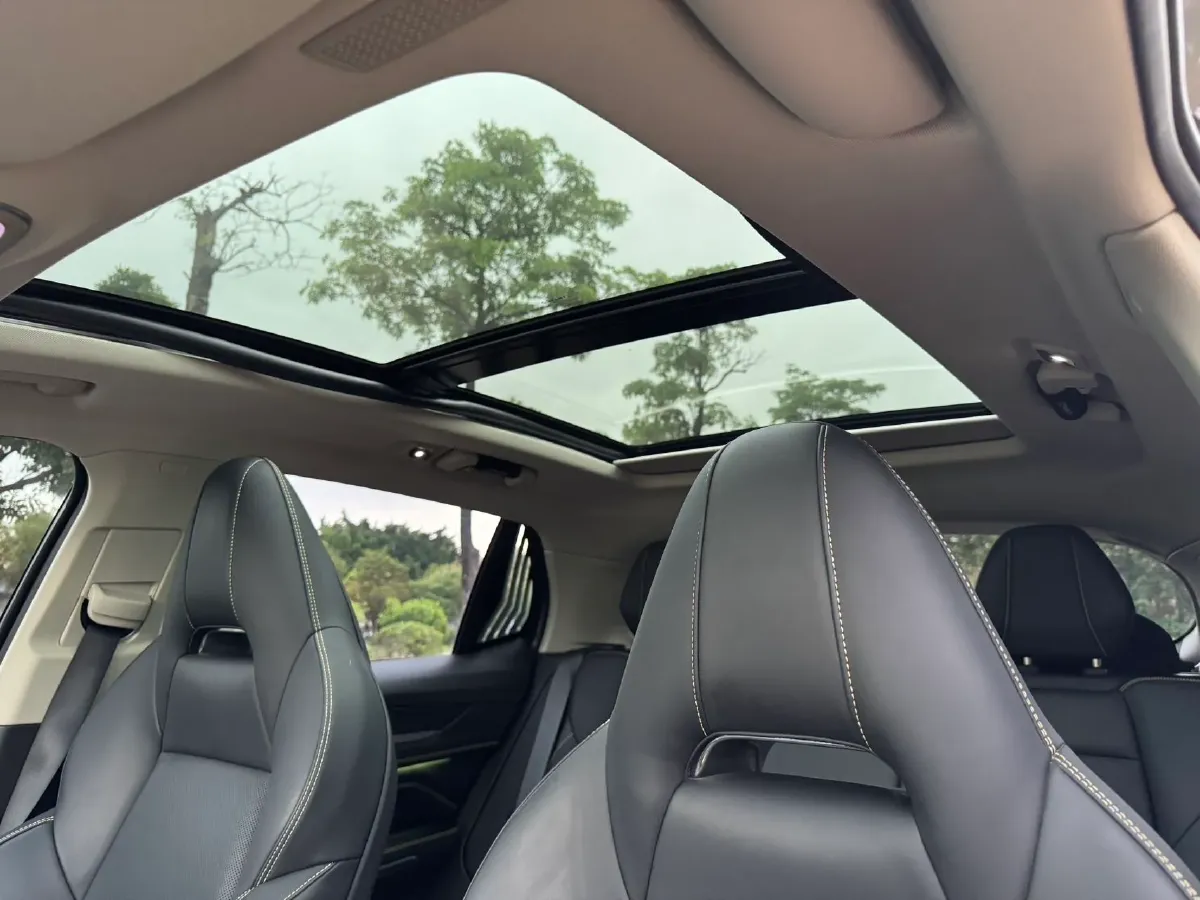 2023 MAXUS Interstellar 2.0T 261HP L4 8AT,autocango,china used car exporter,china ev exporter,chinese used car exporter,chinese used ev exporter