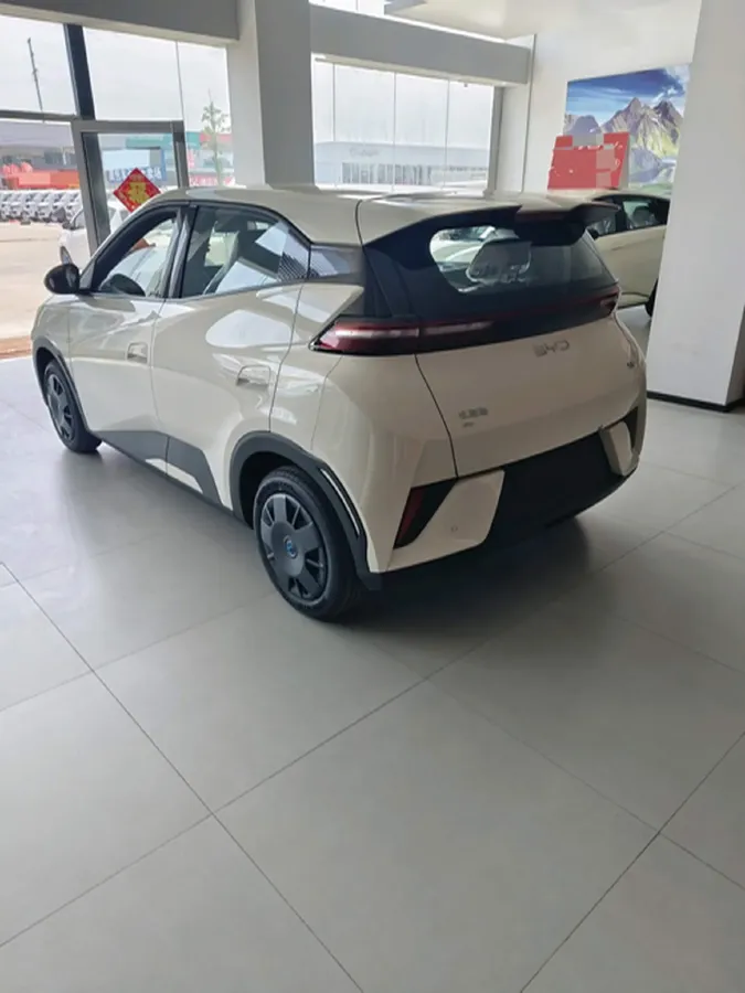 2025 BYD Seagull BEV 30.08KWH,autocango,china used car exporter,china ev exporter,chinese used car exporter,chinese used ev exporter