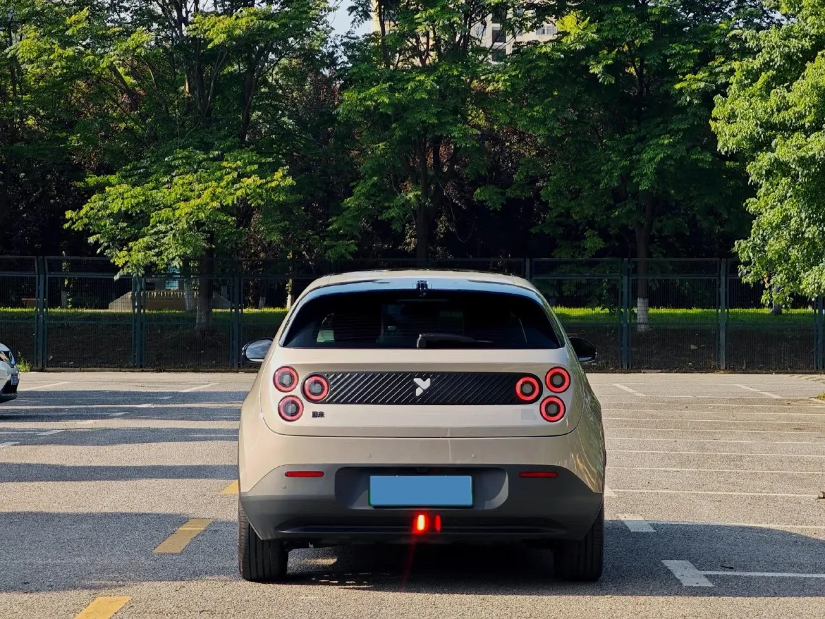 2025 Firefly Firefly BEV,autocango,china used car exporter,china ev exporter,chinese used car exporter,chinese used ev exporter