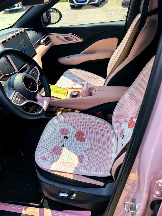 2025 BYD Seagull BEV 30.08KWH,autocango,china used car exporter,china ev exporter,chinese used car exporter,chinese used ev exporter