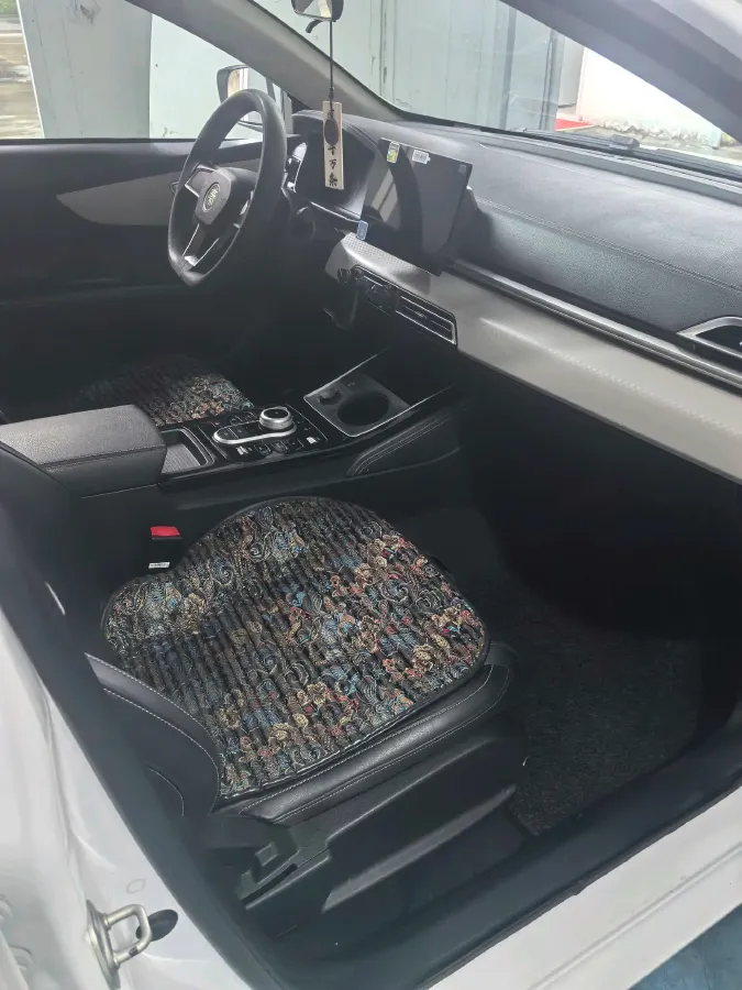 2021 BYD Qin BEV 53.56KWH,autocango,china used car exporter,china ev exporter,chinese used car exporter,chinese used ev exporter