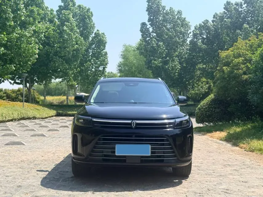 2022 AITO AITO M7 Range Extended 125HP REEV 40KWH,autocango,china used car exporter,china ev exporter,chinese used car exporter,chinese used ev exporter