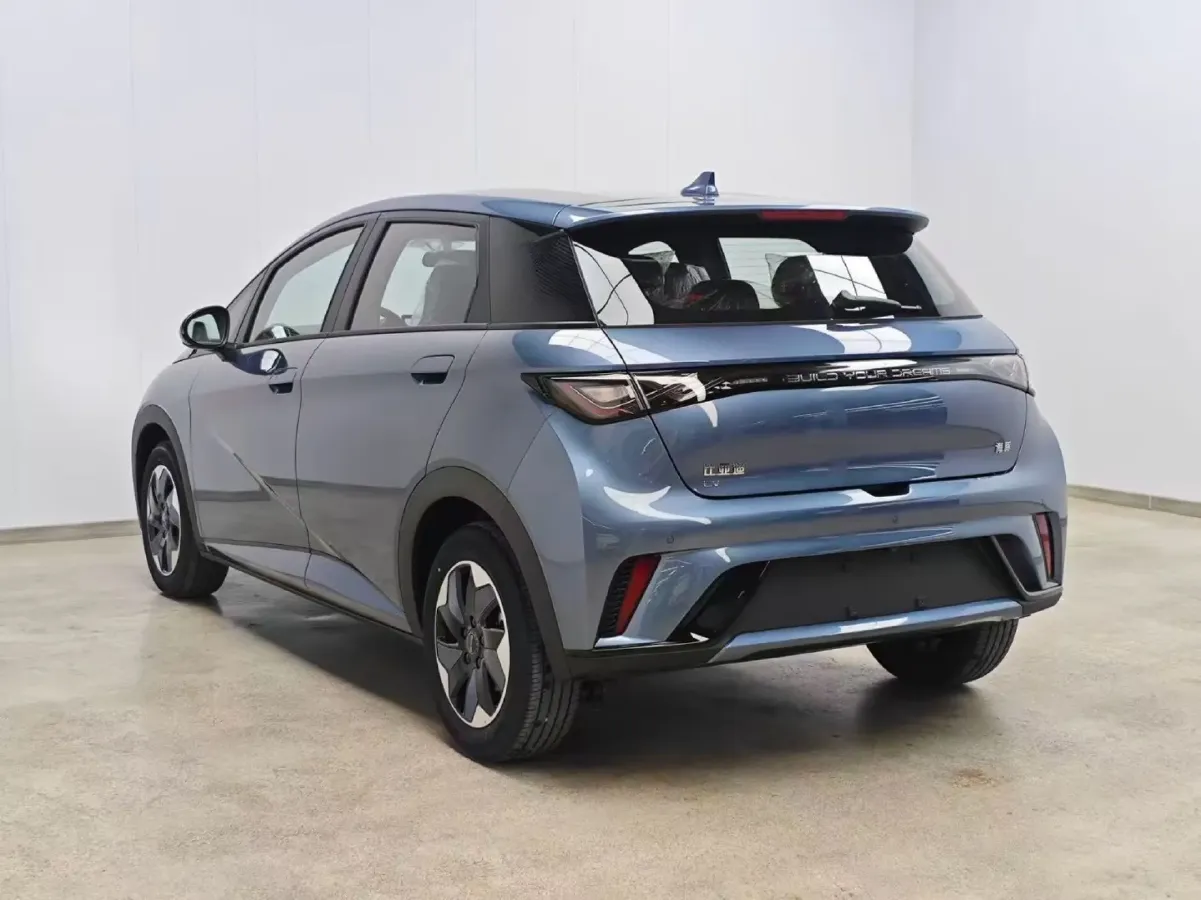 2024 BYD Dolphin BEV 44.928KWH,autocango,china used car exporter,china ev exporter,chinese used car exporter,chinese used ev exporter