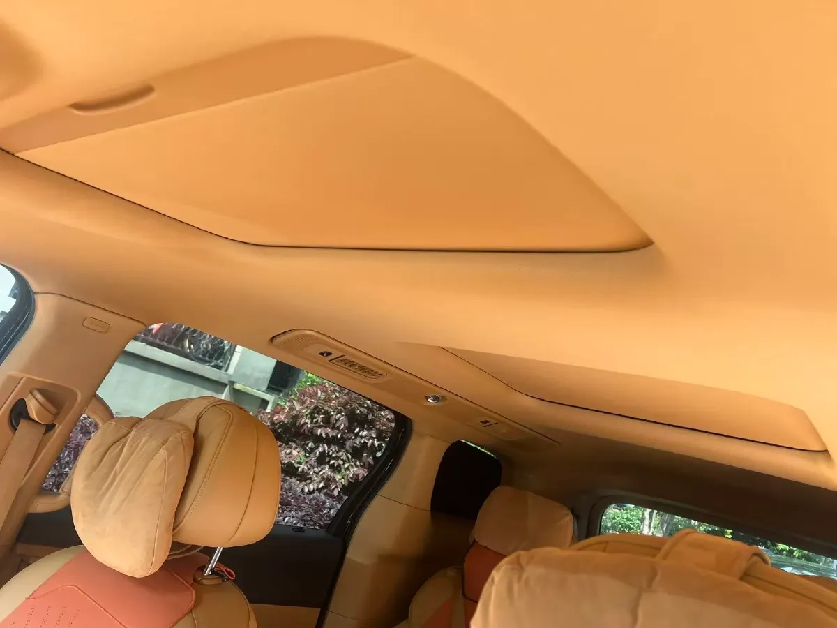 2025 Voyah Dream 1.5T 150HP L4 PHEV 41.7KWH,autocango,china used car exporter,china ev exporter,chinese used car exporter,chinese used ev exporter