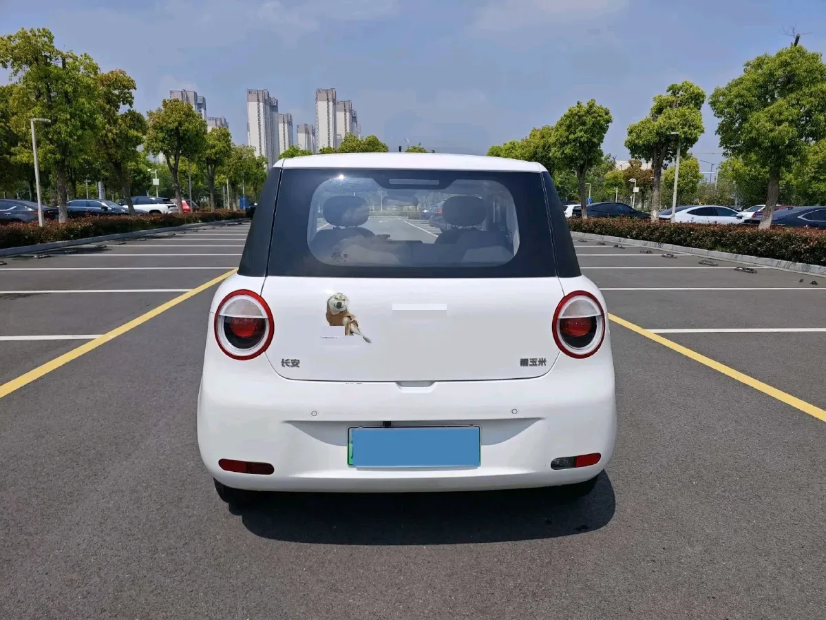 2024 ChangAn QiYuan Lumin BEV 13.41KWH,autocango,china used car exporter,china ev exporter,chinese used car exporter,chinese used ev exporter