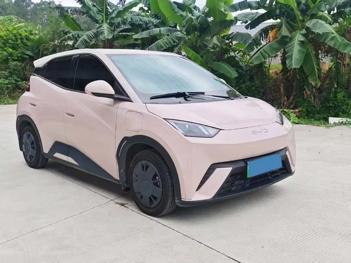 2025 BYD Seagull BEV 30.08KWH,autocango,china used car exporter,china ev exporter,chinese used car exporter,chinese used ev exporter