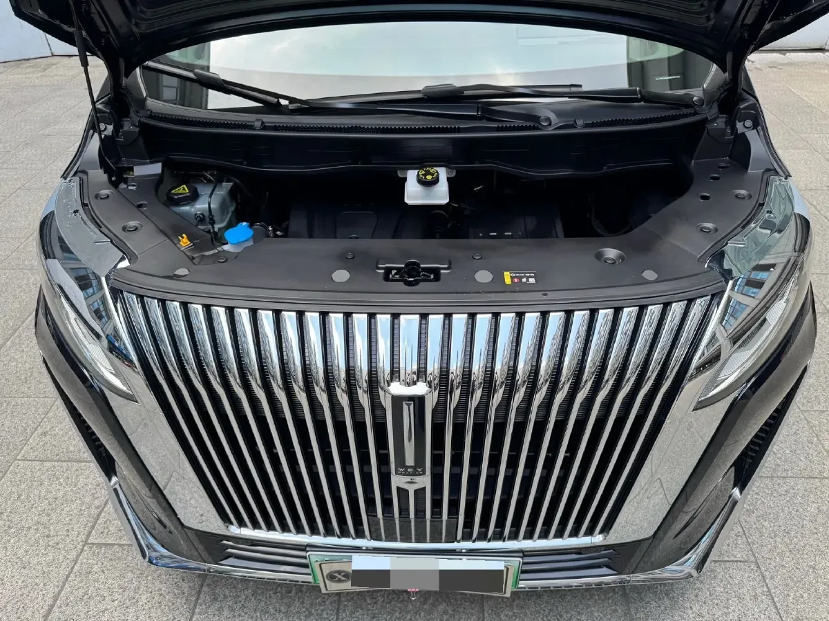 2025 WEY HighMountain 1.5T 170HP L4 4DHT PHEV,autocango,china used car exporter,china ev exporter,chinese used car exporter,chinese used ev exporter