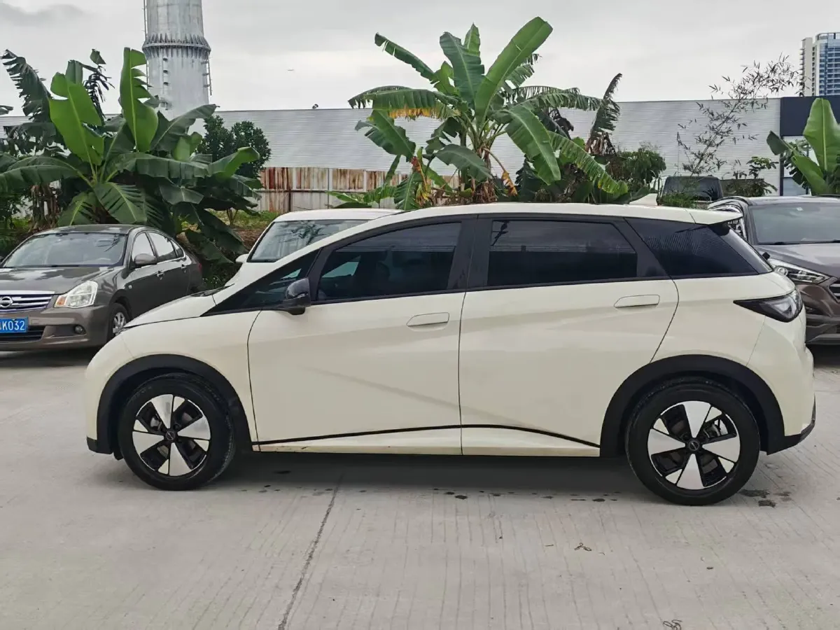 2023 BYD Dolphin BEV 44.928KWH,autocango,china used car exporter,china ev exporter,chinese used car exporter,chinese used ev exporter