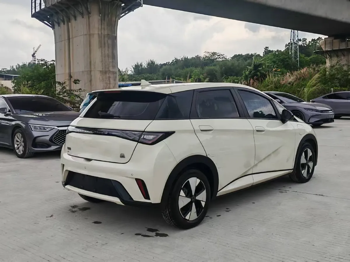 2023 BYD Dolphin BEV 44.928KWH,autocango,china used car exporter,china ev exporter,chinese used car exporter,chinese used ev exporter