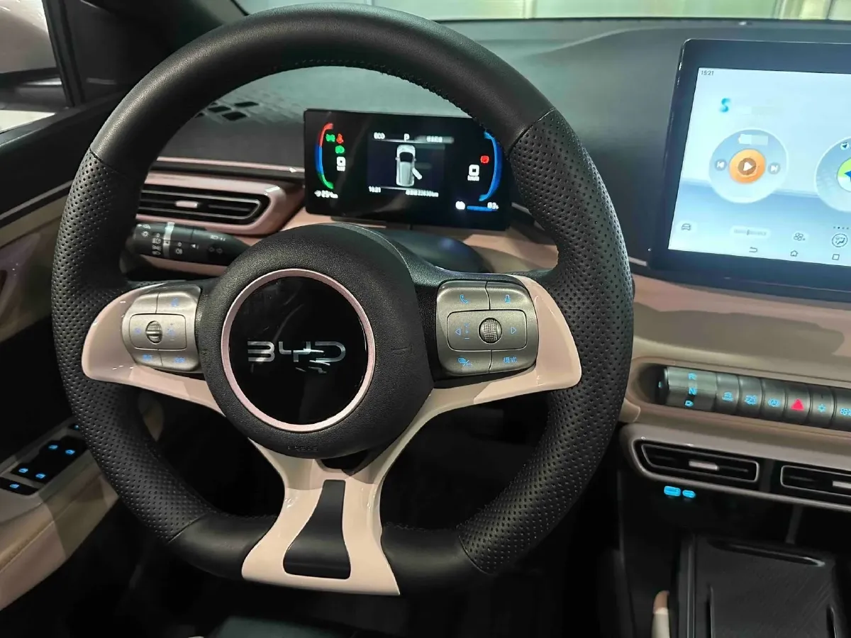 2025 BYD Seagull BEV 30.08KWH,autocango,china used car exporter,china ev exporter,chinese used car exporter,chinese used ev exporter