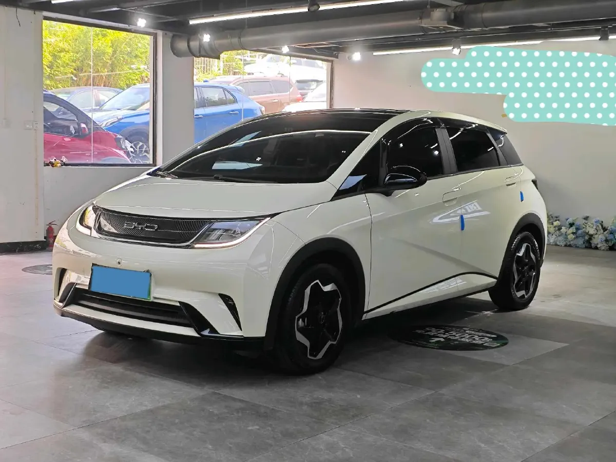 2021 BYD Yuan Pro BEV 50.1KWH,autocango,china used car exporter,china ev exporter,chinese used car exporter,chinese used ev exporter