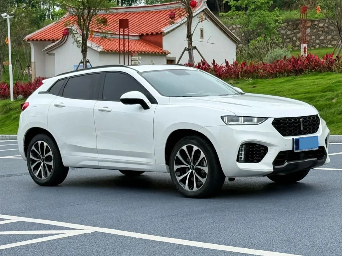 2017 WEY VV7 2.0T 234HP L4 7DCT,autocango,china used car exporter,china ev exporter,chinese used car exporter,chinese used ev exporter