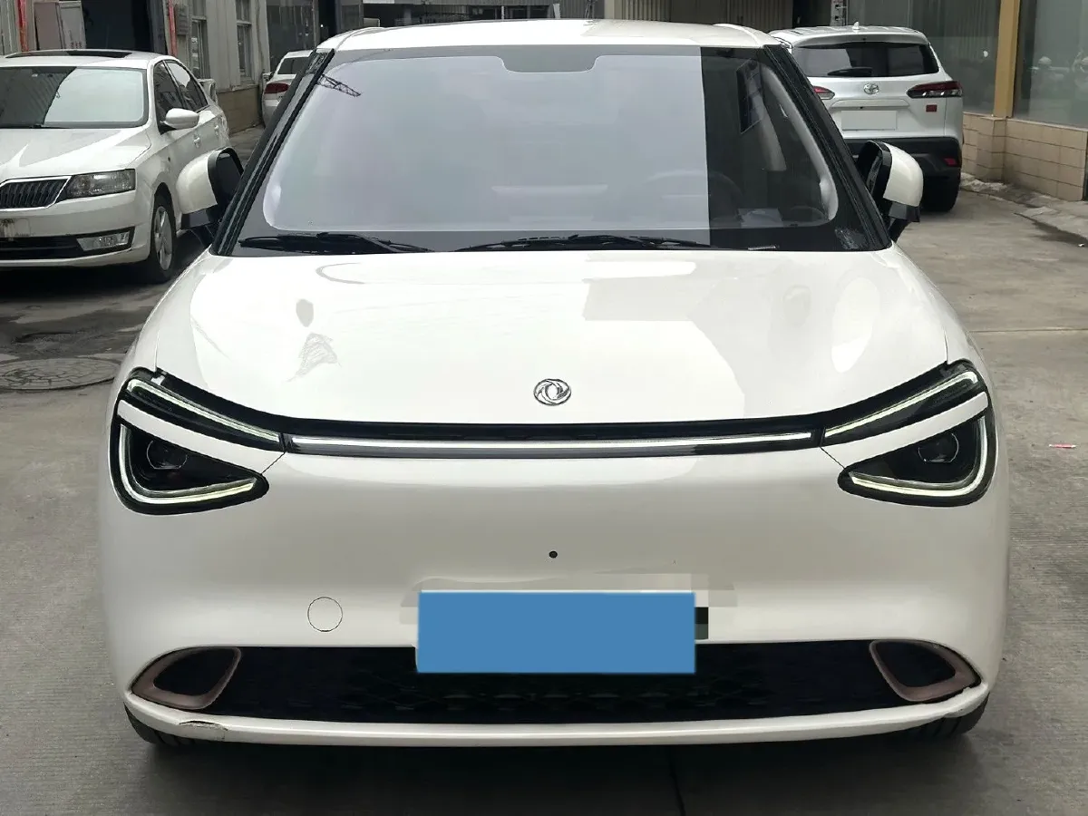 2024 DongFeng Nammi 01 BEV 42.3KWH,autocango,china used car exporter,china ev exporter,chinese used car exporter,chinese used ev exporter