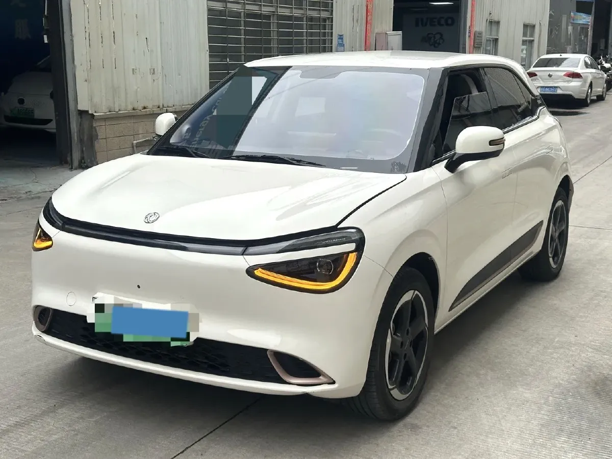 2024 DongFeng Nammi 01 BEV 42.3KWH,autocango,china used car exporter,china ev exporter,chinese used car exporter,chinese used ev exporter