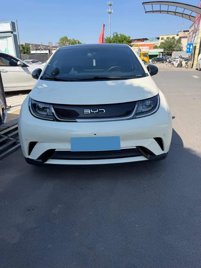 2024 BYD Dolphin BEV 44.928KWH,autocango,china used car exporter,china ev exporter,chinese used car exporter,chinese used ev exporter