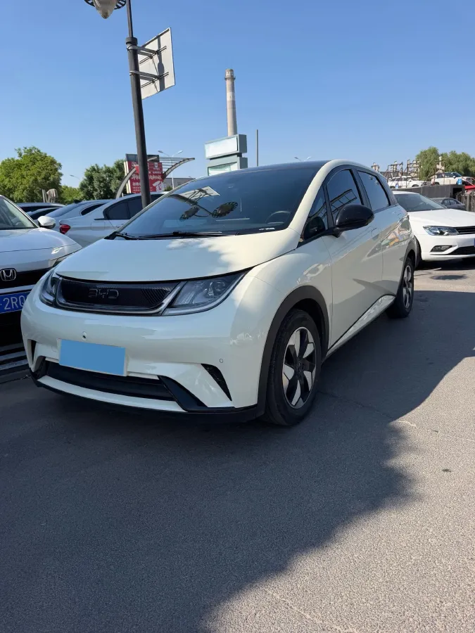 2024 BYD Dolphin BEV 44.928KWH,autocango,china used car exporter,china ev exporter,chinese used car exporter,chinese used ev exporter