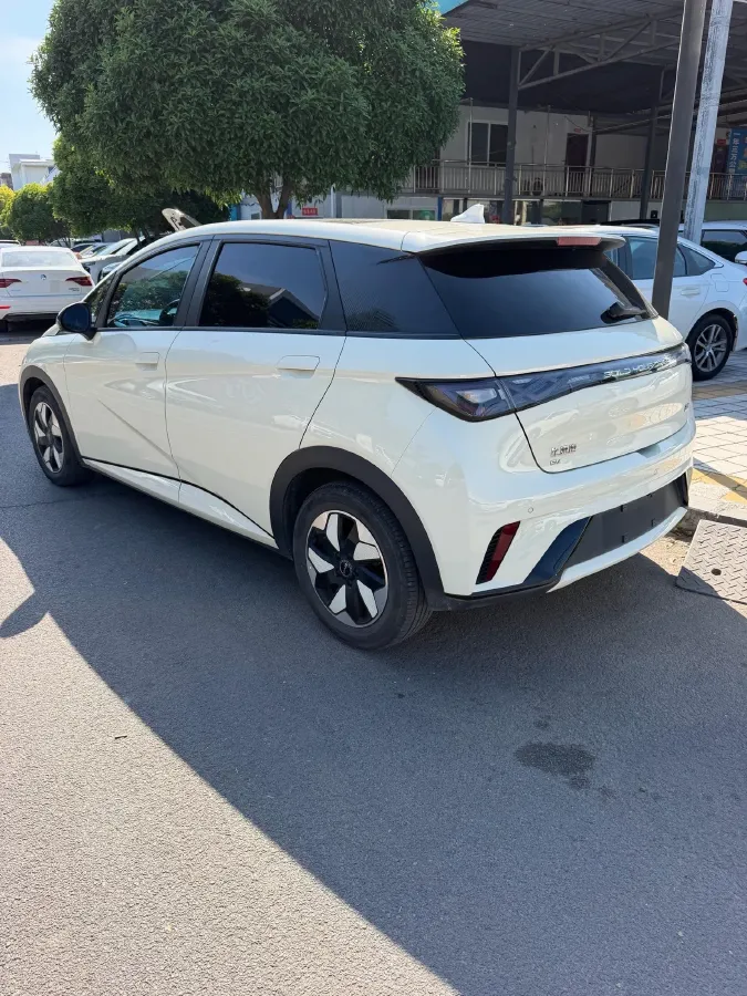 2024 BYD Dolphin BEV 44.928KWH,autocango,china used car exporter,china ev exporter,chinese used car exporter,chinese used ev exporter