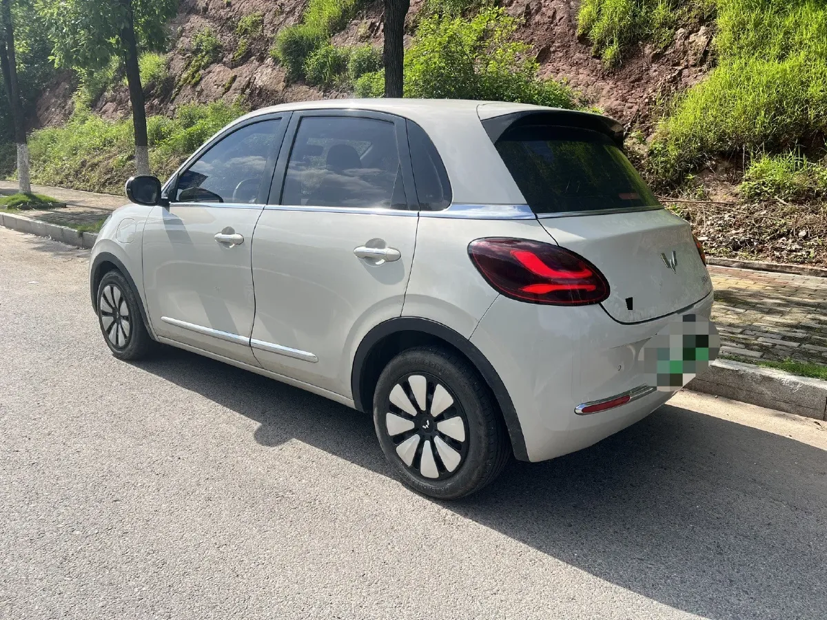 2024 WuLing BinGuo BEV 31.9KWH,autocango,china used car exporter,china ev exporter,chinese used car exporter,chinese used ev exporter