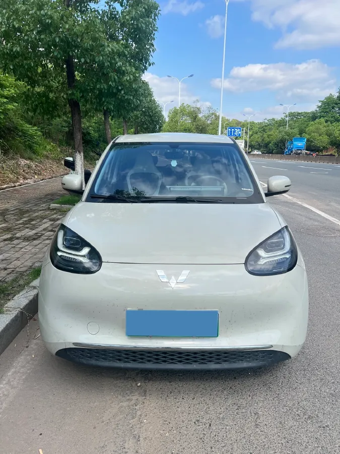 2024 WuLing BinGuo BEV 31.9KWH,autocango,china used car exporter,china ev exporter,chinese used car exporter,chinese used ev exporter