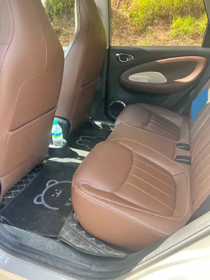 2024 WuLing BinGuo BEV 31.9KWH,autocango,china used car exporter,china ev exporter,chinese used car exporter,chinese used ev exporter