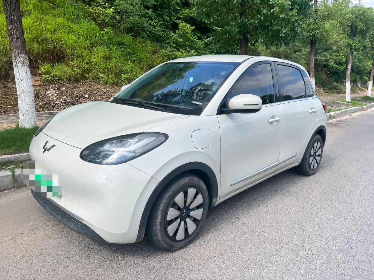 2024 WuLing BinGuo BEV 31.9KWH,autocango,china used car exporter,china ev exporter,chinese used car exporter,chinese used ev exporter
