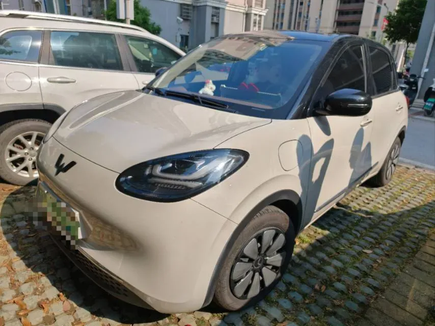 2023 WuLing BinGuo BEV 31.9KWH,autocango,china used car exporter,china ev exporter,chinese used car exporter,chinese used ev exporter