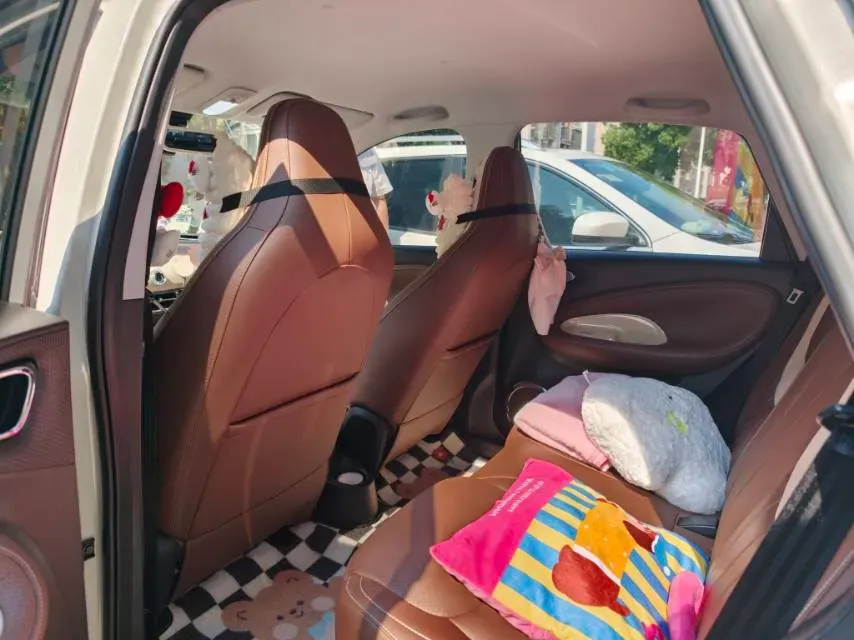 2023 WuLing BinGuo BEV 31.9KWH,autocango,china used car exporter,china ev exporter,chinese used car exporter,chinese used ev exporter