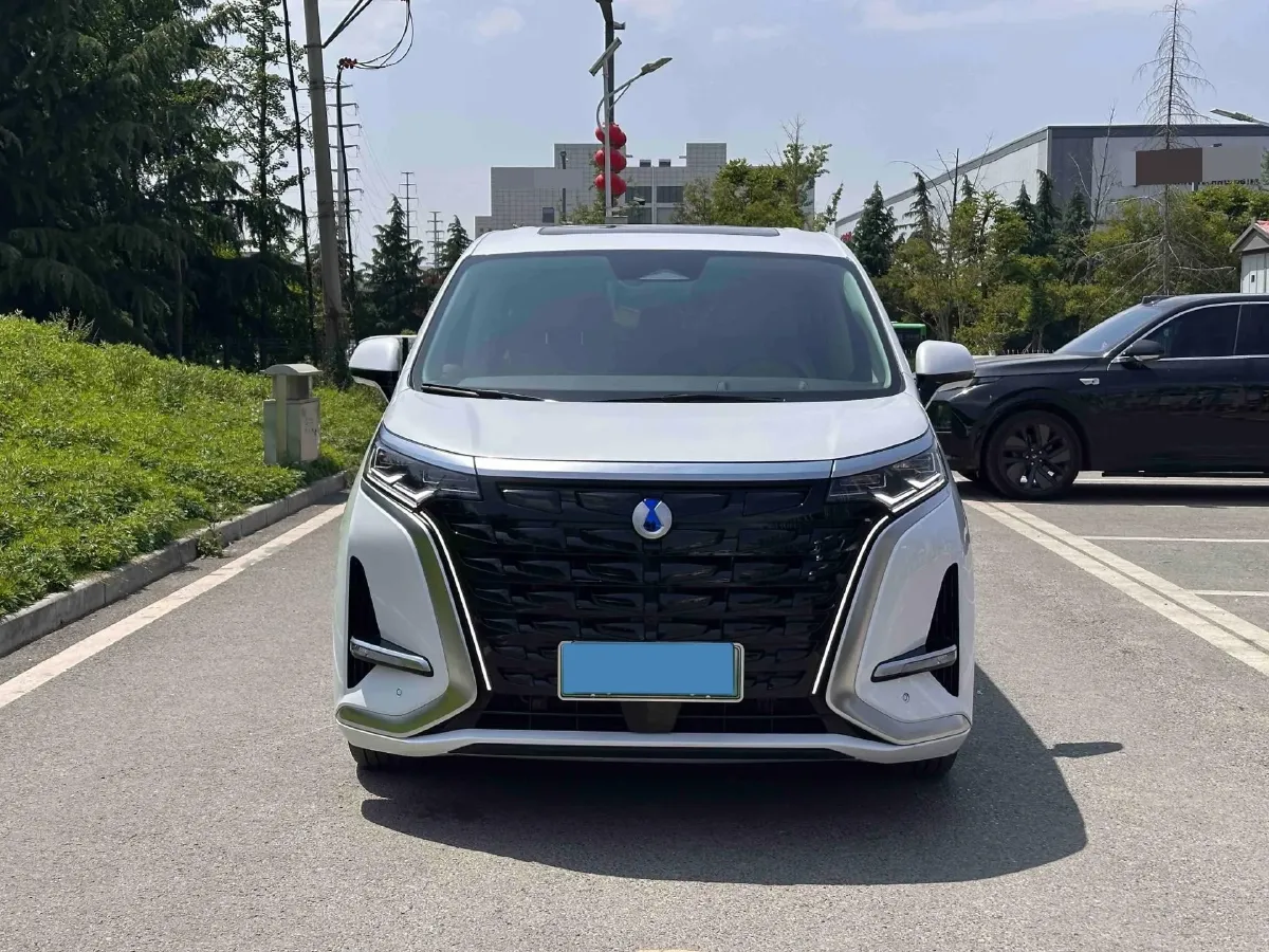 2024 Denza D9 1.5T 139HP L4 E-CVT PHEV 40KWH,autocango,china used car exporter,china ev exporter,chinese used car exporter,chinese used ev exporter