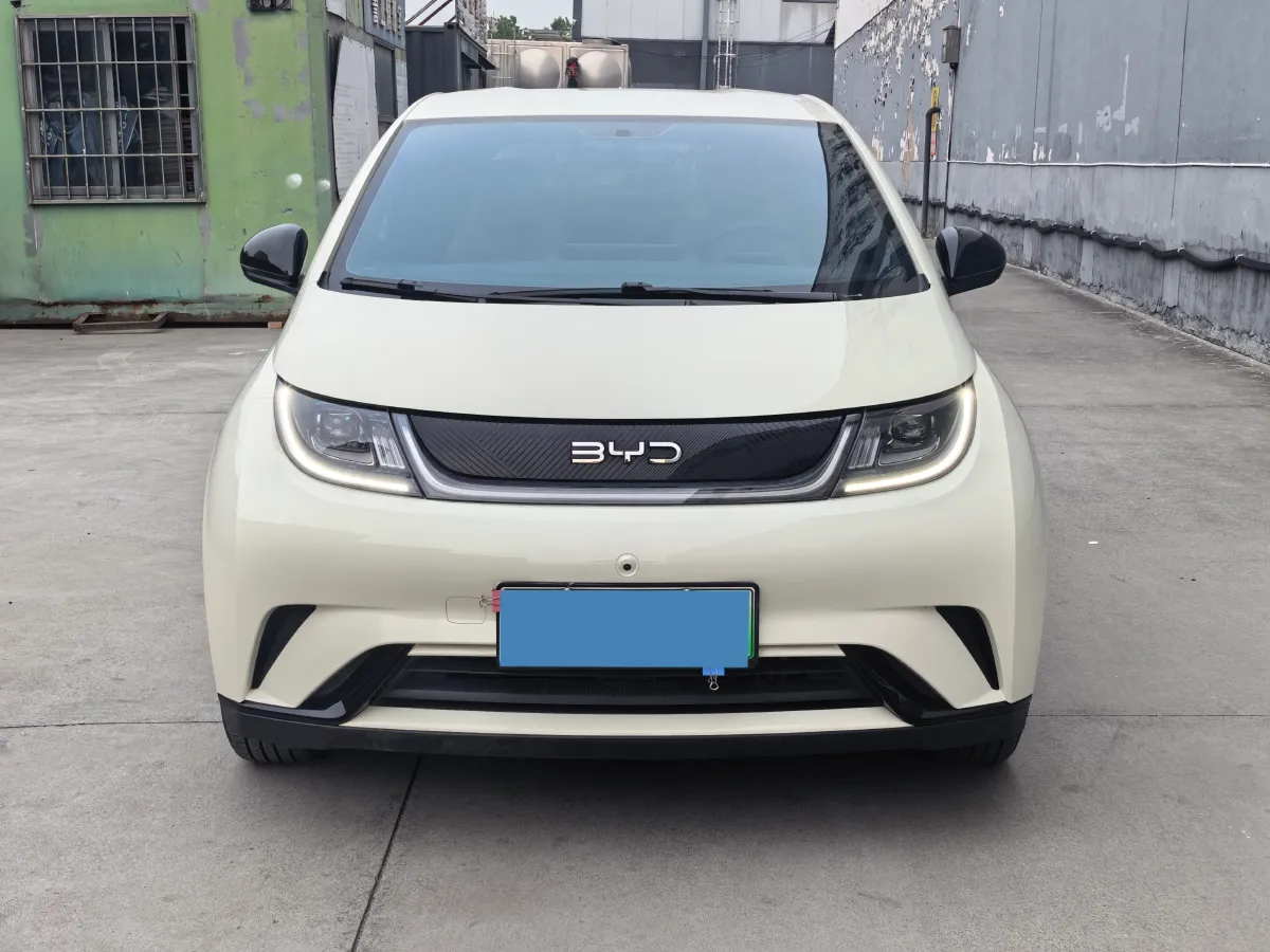 2024 BYD Dolphin BEV 44.928KWH,autocango,china used car exporter,china ev exporter,chinese used car exporter,chinese used ev exporter