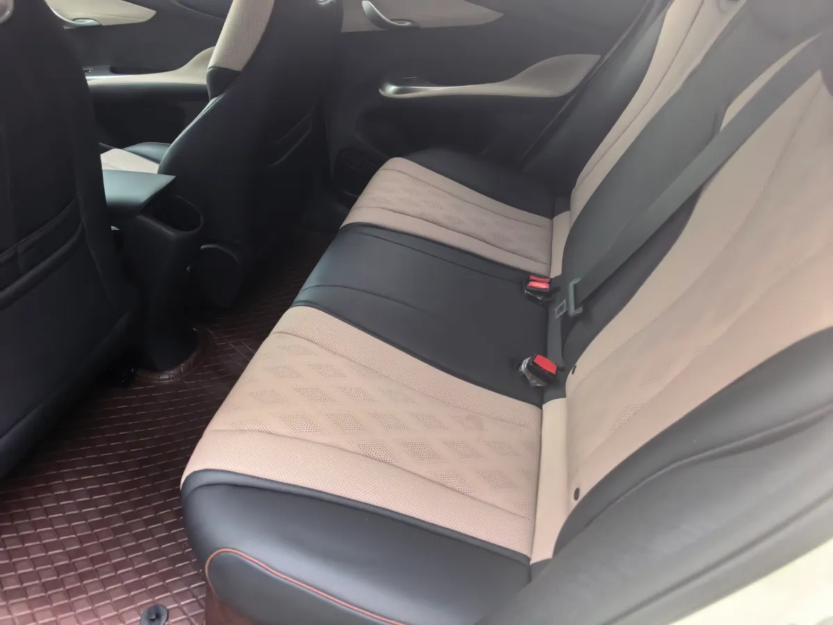 2024 BYD Dolphin BEV 44.928KWH,autocango,china used car exporter,china ev exporter,chinese used car exporter,chinese used ev exporter