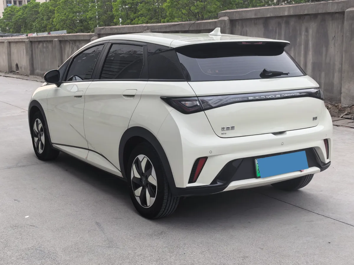 2024 BYD Dolphin BEV 44.928KWH,autocango,china used car exporter,china ev exporter,chinese used car exporter,chinese used ev exporter