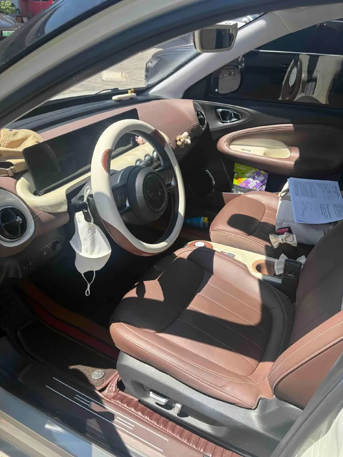 2023 WuLing BinGuo BEV 31.9KWH,autocango,china used car exporter,china ev exporter,chinese used car exporter,chinese used ev exporter