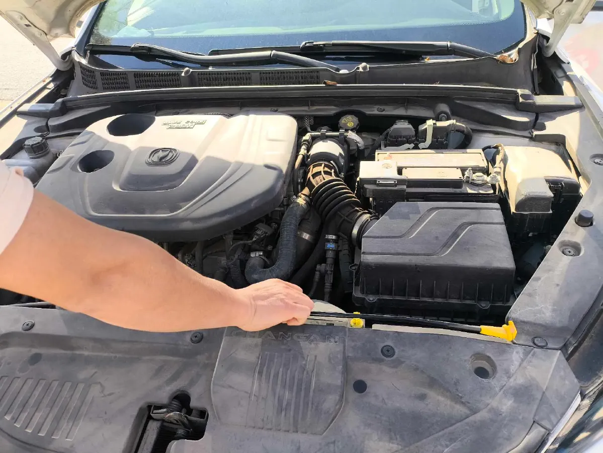 2019 ChangAn Eado 1.4T 158HP L4 7DCT,autocango,china used car exporter,china ev exporter,chinese used car exporter,chinese used ev exporter