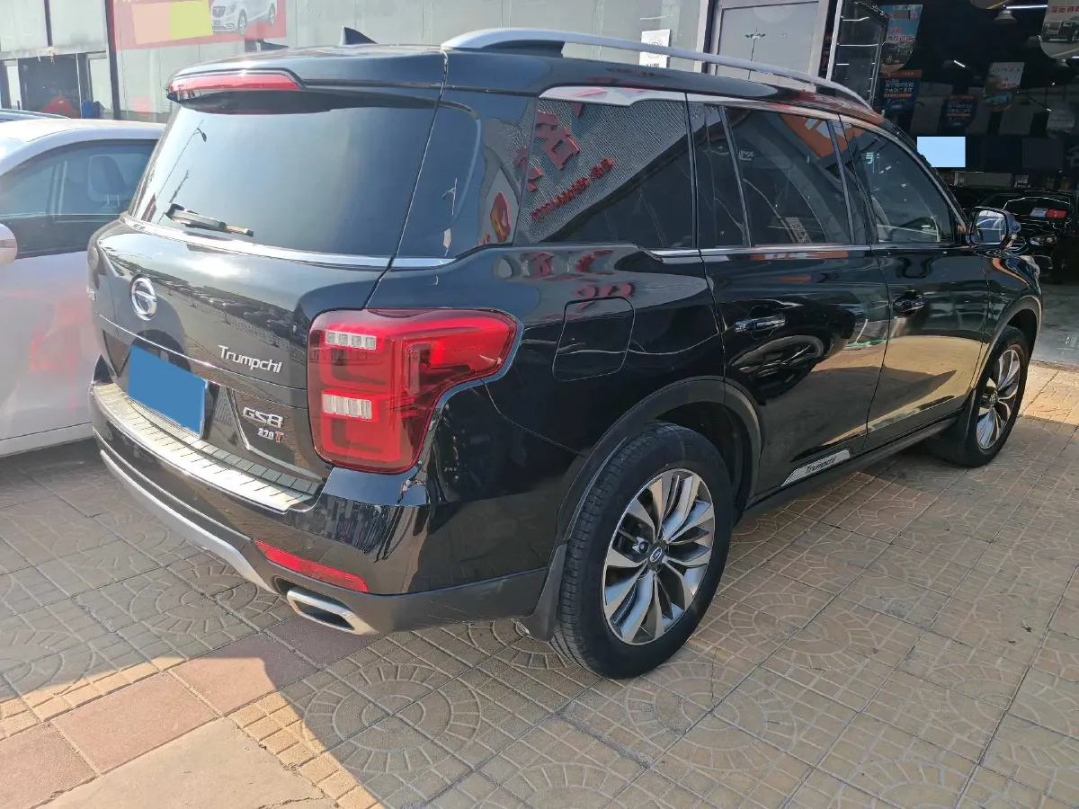 2019 GAC Trumpchi GS8 2.0T 252HP L4 6AT,autocango,china used car exporter,china ev exporter,chinese used car exporter,chinese used ev exporter