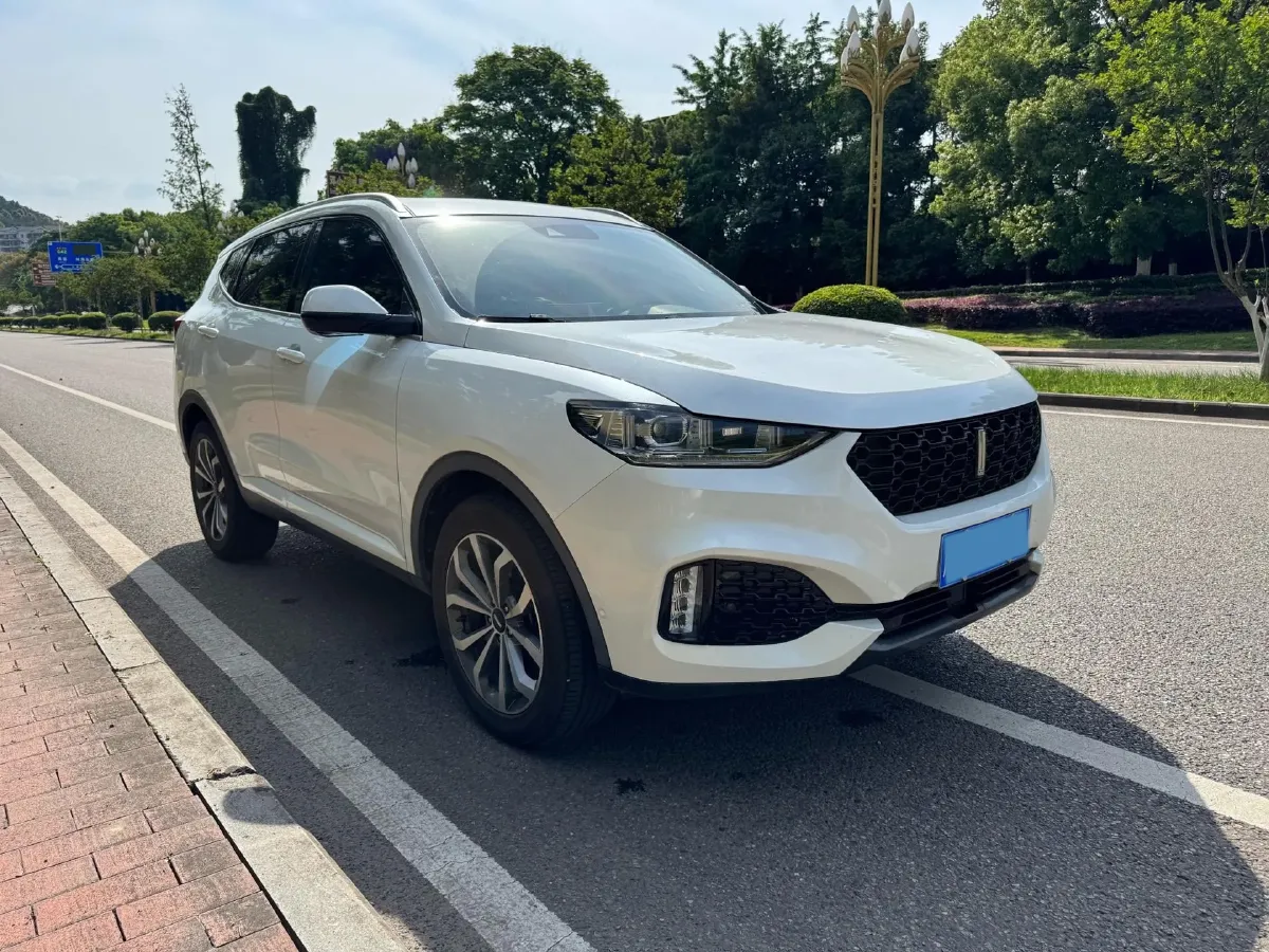 2018 WEY VV6 2.0T 197HP L4 7DCT,autocango,china used car exporter,china ev exporter,chinese used car exporter,chinese used ev exporter