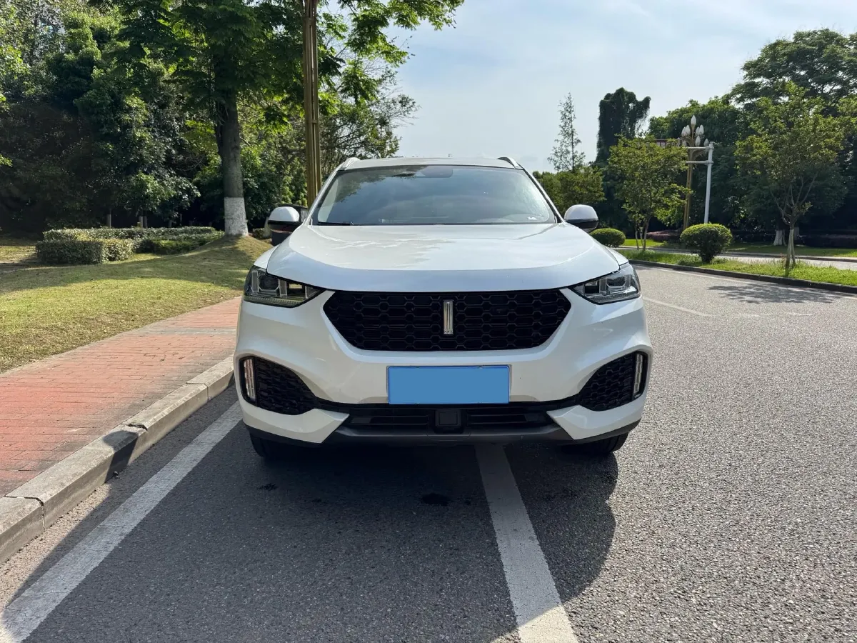 2018 WEY VV6 2.0T 197HP L4 7DCT,autocango,china used car exporter,china ev exporter,chinese used car exporter,chinese used ev exporter