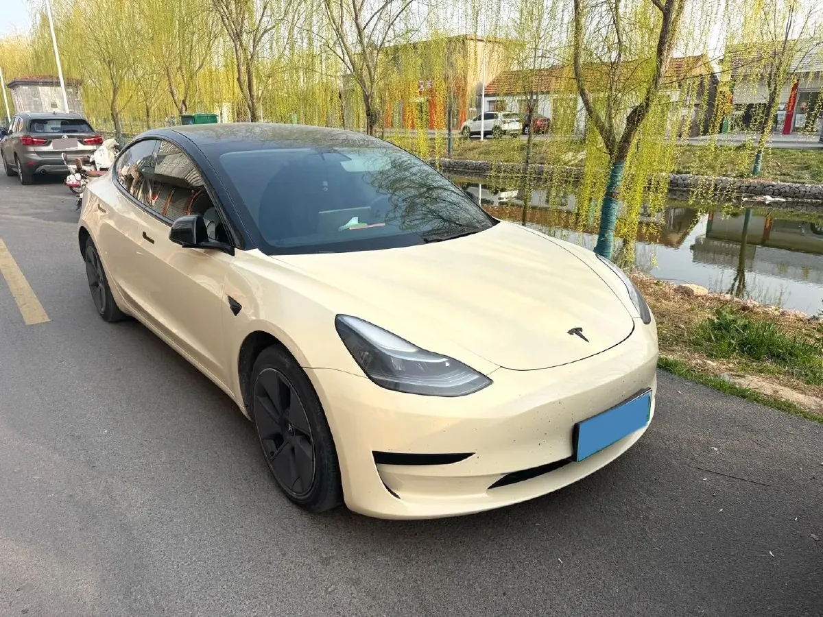 2021 Tesla Model 3 BEV 55KWH,autocango,china used car exporter,china ev exporter,chinese used car exporter,chinese used ev exporter