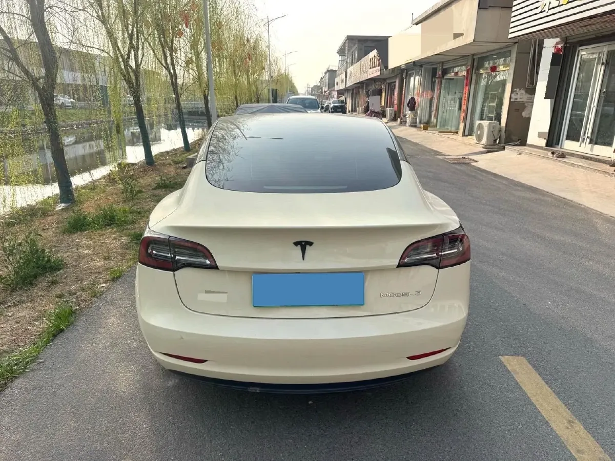 2021 Tesla Model 3 BEV 55KWH,autocango,china used car exporter,china ev exporter,chinese used car exporter,chinese used ev exporter