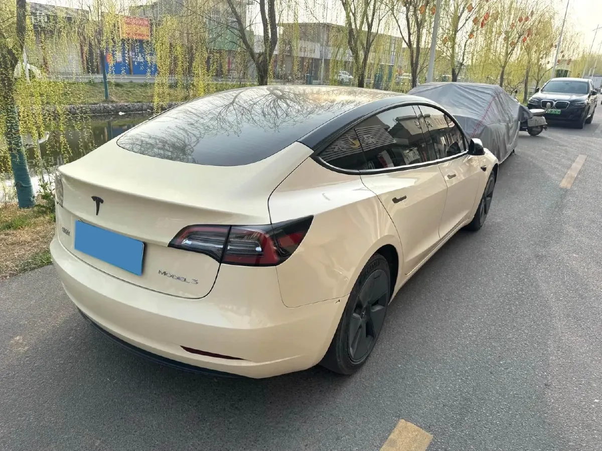 2021 Tesla Model 3 BEV 55KWH,autocango,china used car exporter,china ev exporter,chinese used car exporter,chinese used ev exporter