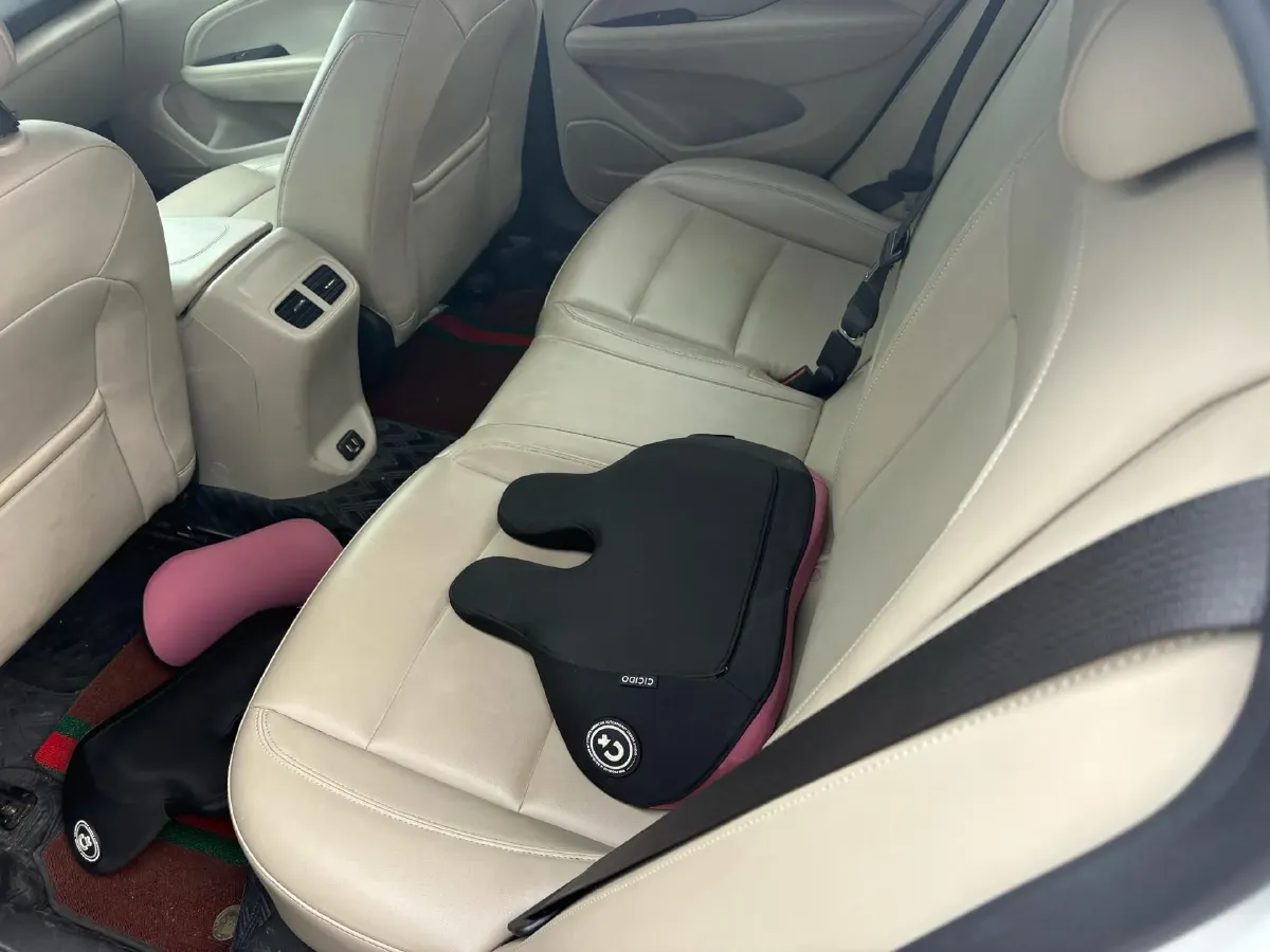 2020 Buick Regal 1.5T 169HP L4 9AT,autocango,china used car exporter,china ev exporter,chinese used car exporter,chinese used ev exporter