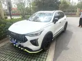 2021 HAVAL RABBIT,autocango,china used car exporter,china ev exporter,chinese used car exporter,chinese used ev exporter