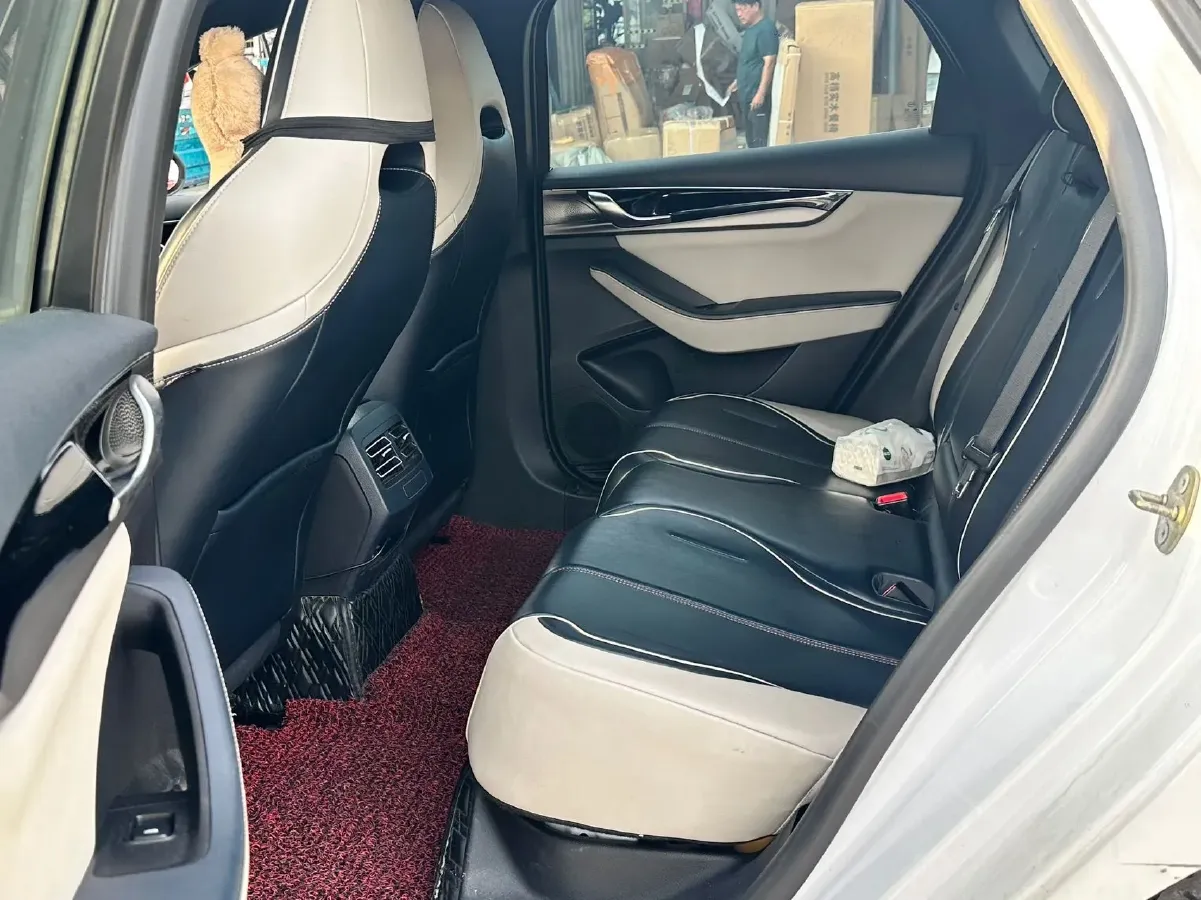 2019 BYD Qin Pro BEV 56.4KWH,autocango,china used car exporter,china ev exporter,chinese used car exporter,chinese used ev exporter