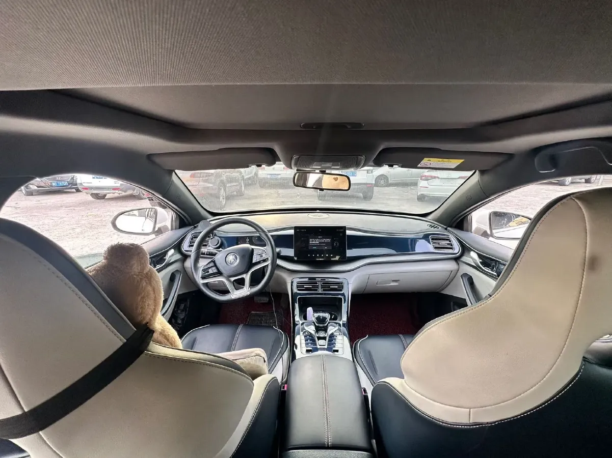 2019 BYD Qin Pro BEV 56.4KWH,autocango,china used car exporter,china ev exporter,chinese used car exporter,chinese used ev exporter